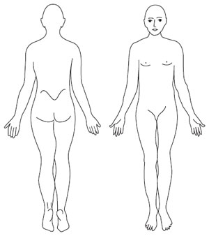 Figure 3.1 Body map.
