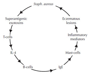 Figure 9.6 Superantigens diagram, illustrating the cycle of events that result from release of superantigenic exotoxins. (Source: Reprinted from McFadden et al., 1993.)
