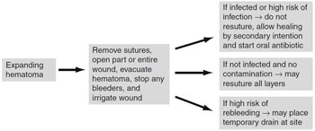 Figure 6.5 Algorithm for expanding hematoma