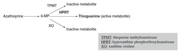 Figure 7.1 Metabolic pathway for azathioprine